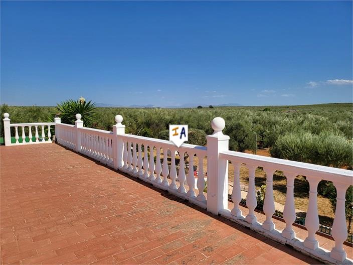 Image No.9-3 Bed Villa for sale