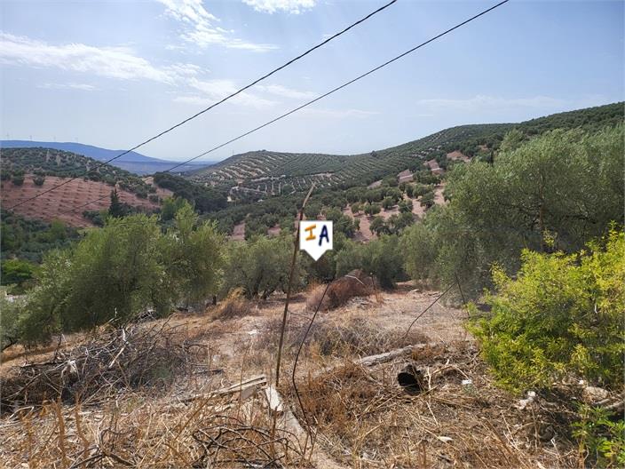 Image No.5-Ferme de 6 chambres à vendre à Villanueva de Algaidas