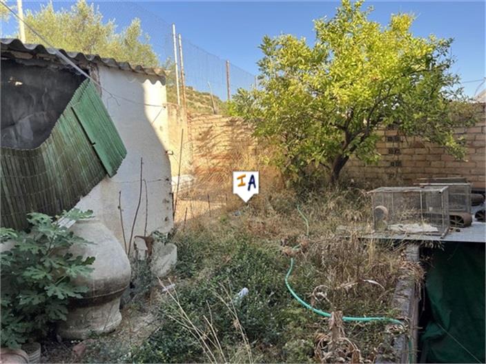 Image No.6-Maison de 5 chambres à vendre à Fuente-Tójar