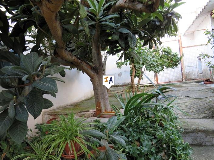 Image No.11-4 Bed House for sale