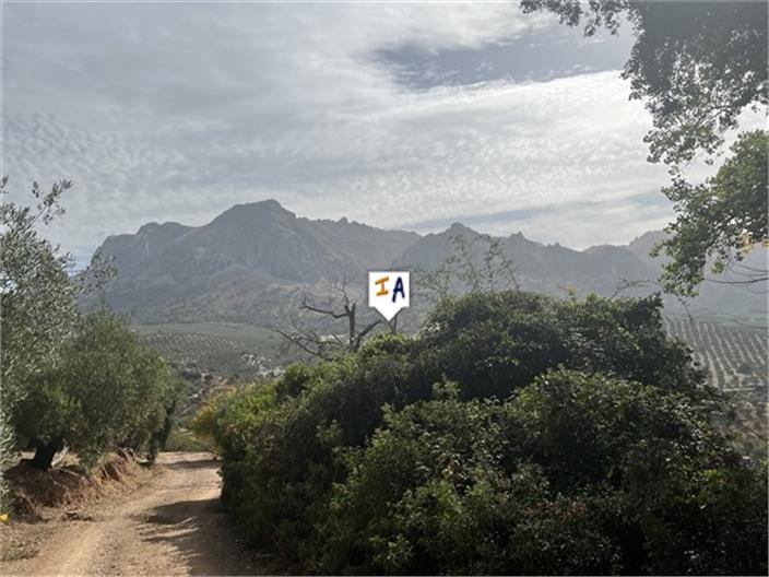 Image No.3-Ferme de 4 chambres à vendre à Priego de Córdoba