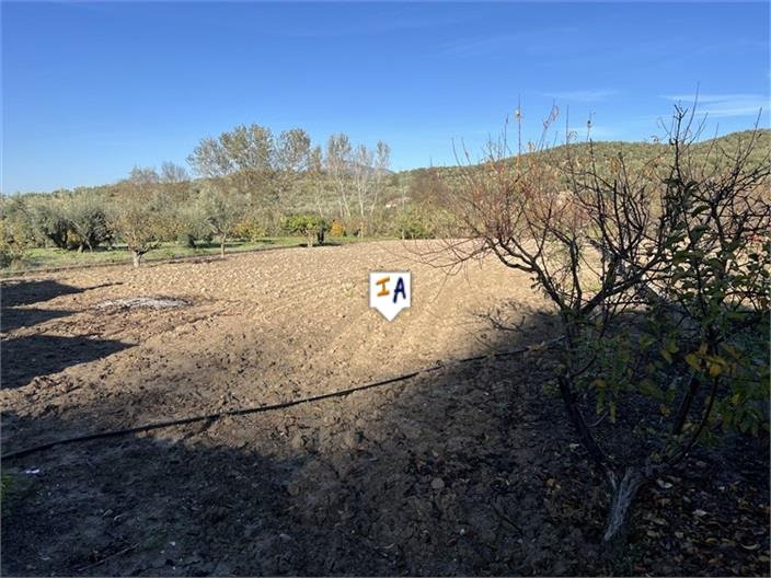 Image No.5-Ferme de 2 chambres à vendre à Castillo de Locubín