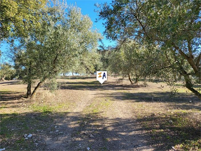 Image No.4-2 Bed Farmhouse for sale