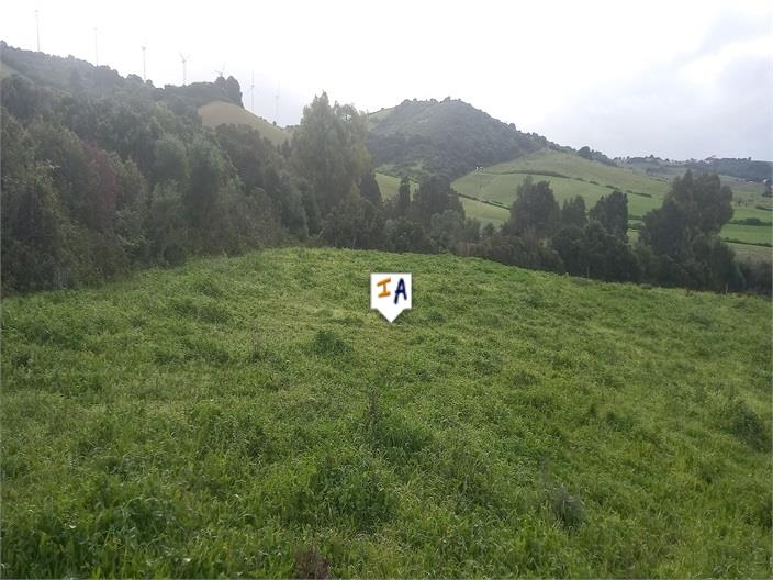 Image No.3-Land for sale