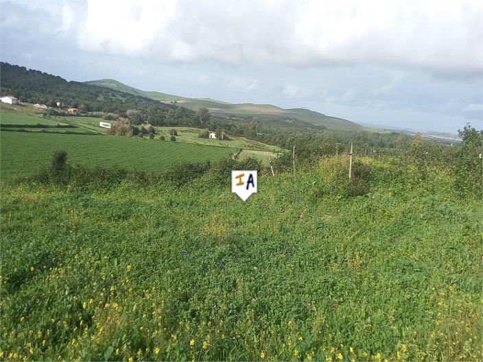 Image No.7-Land for sale