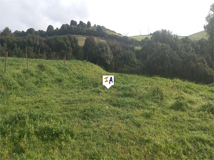 Image No.8-Land for sale