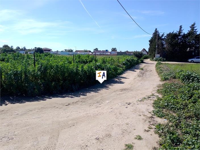 Image No.6-Terre à vendre à Vejer de la Frontera