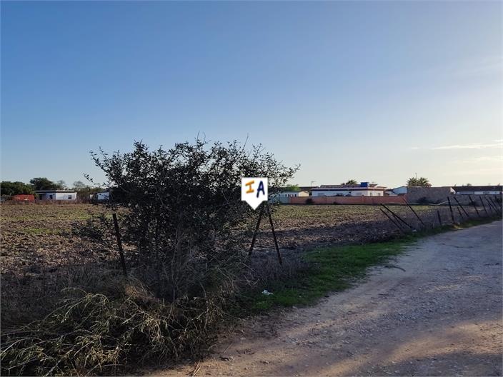 Image No.7-Terre à vendre à Vejer de la Frontera