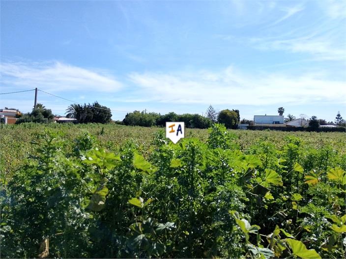 Image No.8-Terre à vendre à Vejer de la Frontera