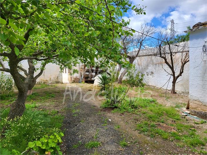 Image No.4-Ferme de 4 chambres à vendre à Humilladero