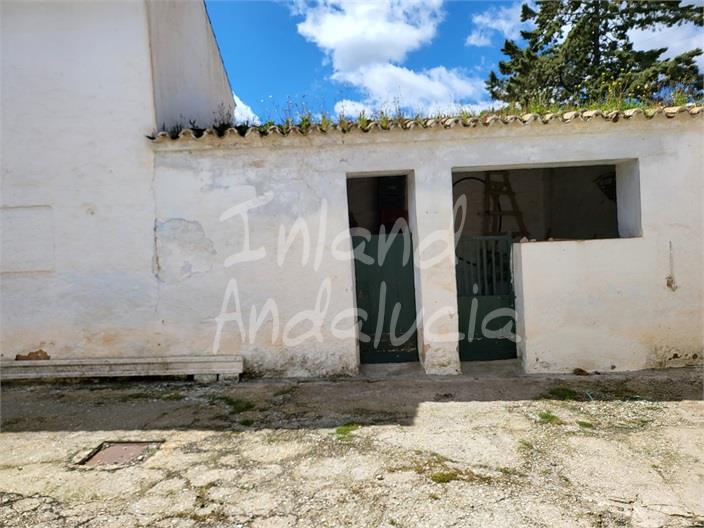 Image No.5-Ferme de 4 chambres à vendre à Humilladero