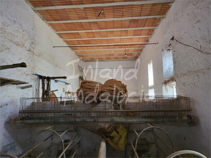 Image No.8-Ferme de 4 chambres à vendre à Humilladero