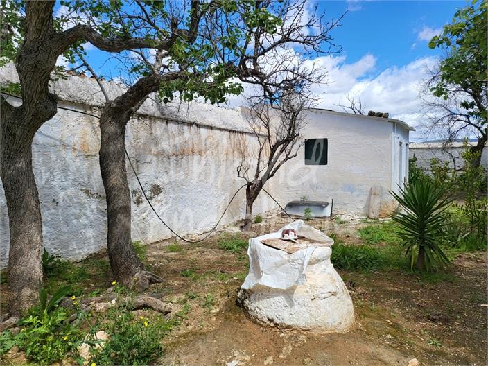 Image No.9-Ferme de 4 chambres à vendre à Humilladero