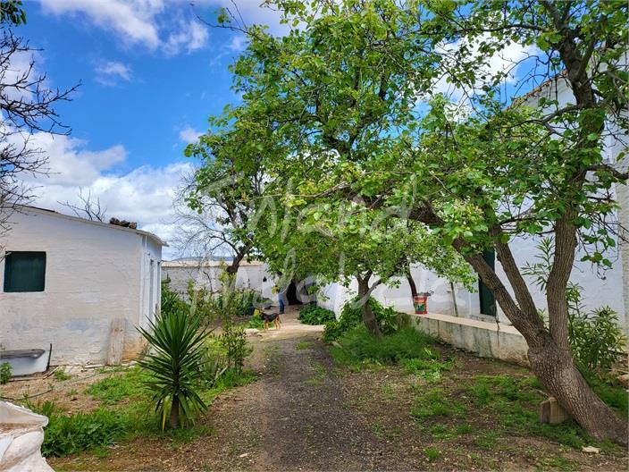 Image No.10-Ferme de 4 chambres à vendre à Humilladero