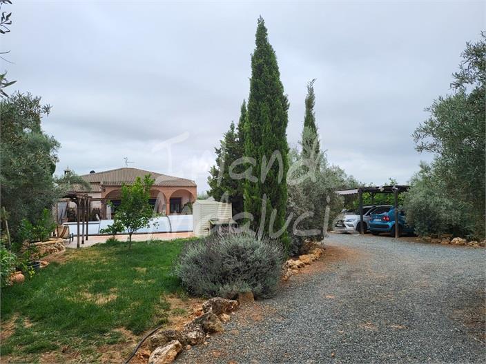 Image No.5-3 Bed Villa for sale