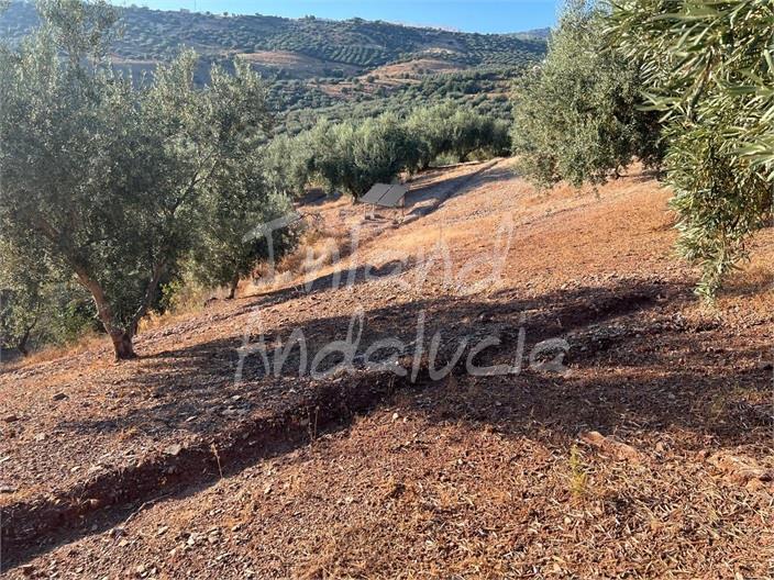 Image No.2-Terre à vendre à Periana
