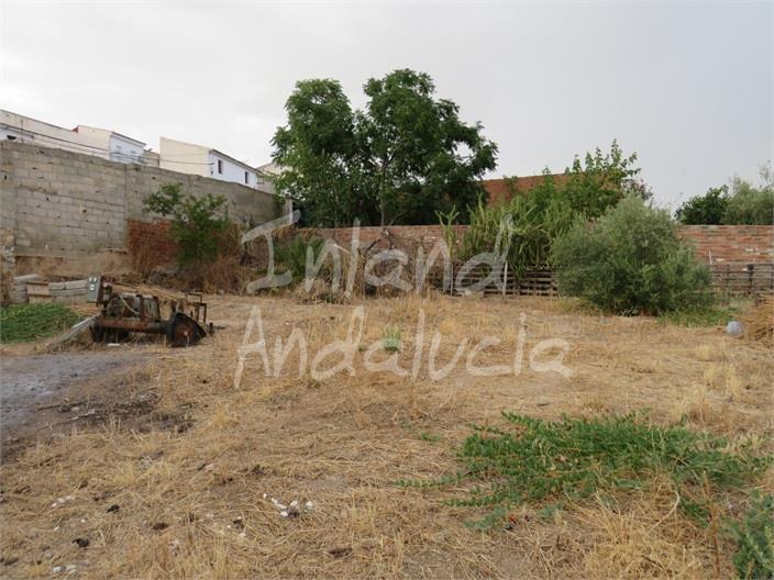 Image No.4-2 Bed House for sale