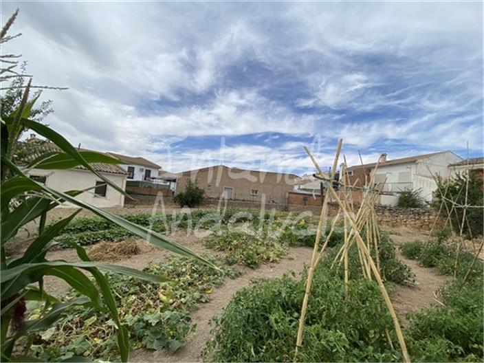 Image No.8-Maison de 4 chambres à vendre à Alcalá la Real