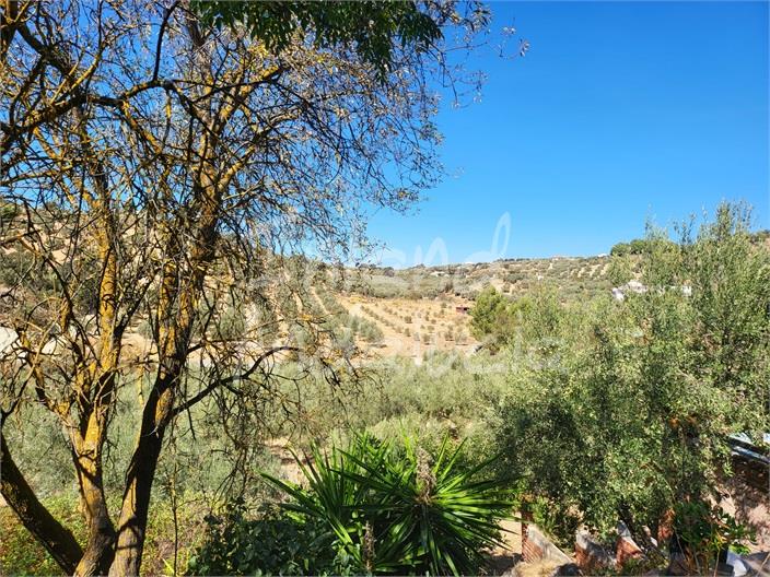 Image No.6-4 Bed Farmhouse for sale