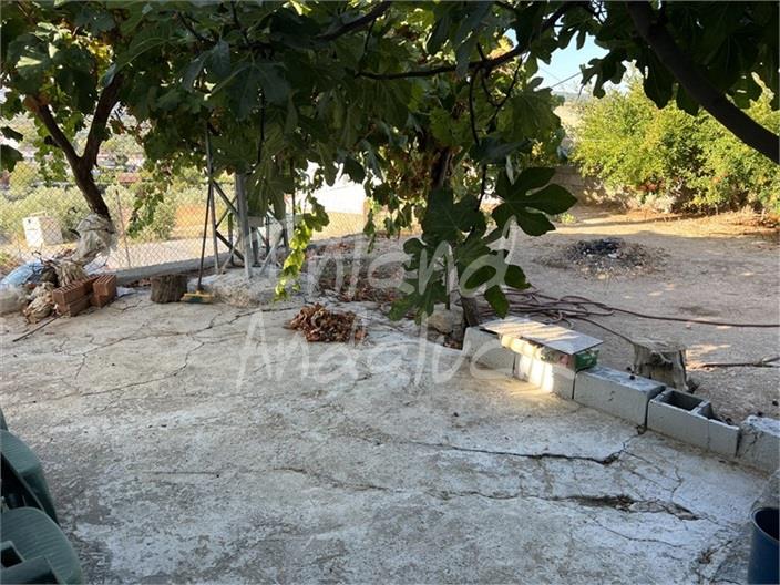 Image No.6-Maison de 4 chambres à vendre à La Rabita