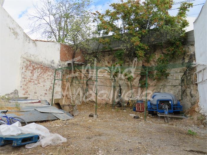 Image No.3-Terre à vendre à Bobadilla de Alcaudete