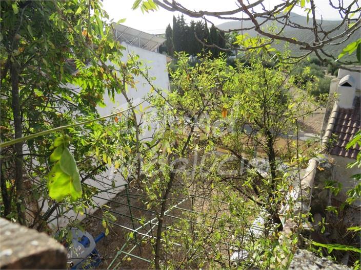 Image No.4-Terre à vendre à Bobadilla de Alcaudete