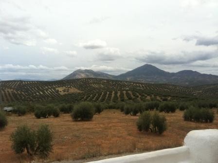 Image No.24-Maison de village de 3 chambres à vendre à Bobadilla de Alcaudete