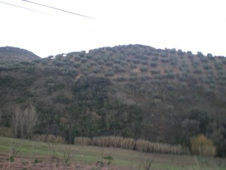 Image No.3-Villa de 3 chambres à vendre à Fuensanta de Martos