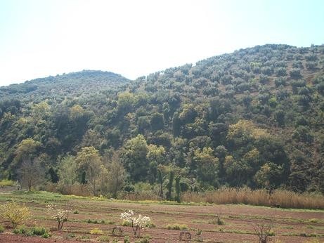 Image No.7-Villa de 3 chambres à vendre à Fuensanta de Martos