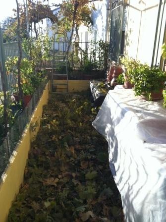 Image No.9-Maison de village de 4 chambres à vendre à Frailes