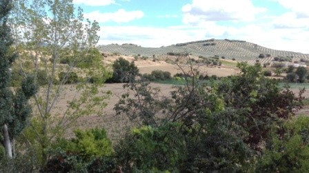 Image No.6-Maison de village de 3 chambres à vendre à Mures