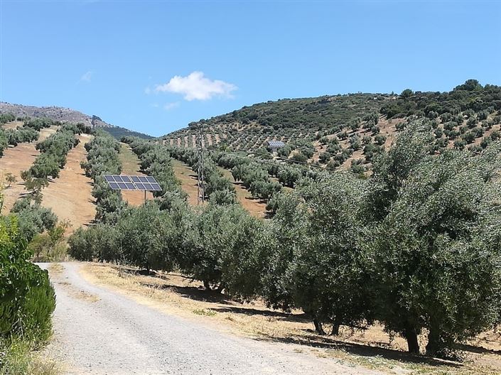 Image No.17-Propriété de pays de 5 chambres à vendre à Alcaudete