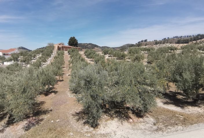 Image No.22-Maison de campagne de 4 chambres à vendre à Sabariego