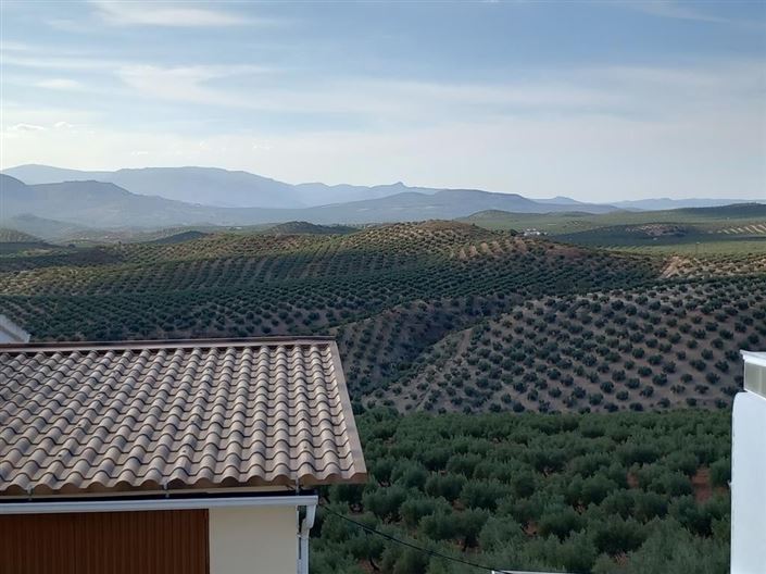 Image No.33-Maison de village de 4 chambres à vendre à Fuente Alamo