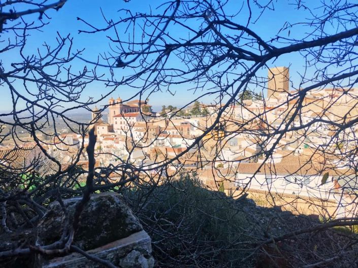 Image No.34-3 Bed Townhouse for sale