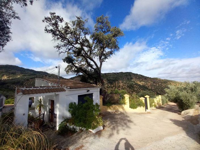 Image No.3-5 Bed Cortijo for sale