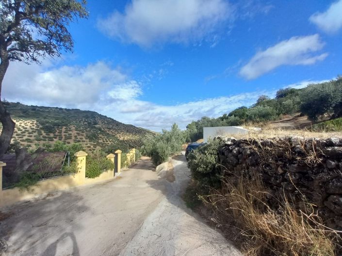 Image No.4-5 Bed Cortijo for sale