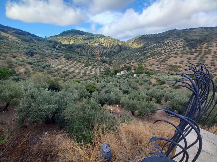 Image No.35-5 Bed Cortijo for sale