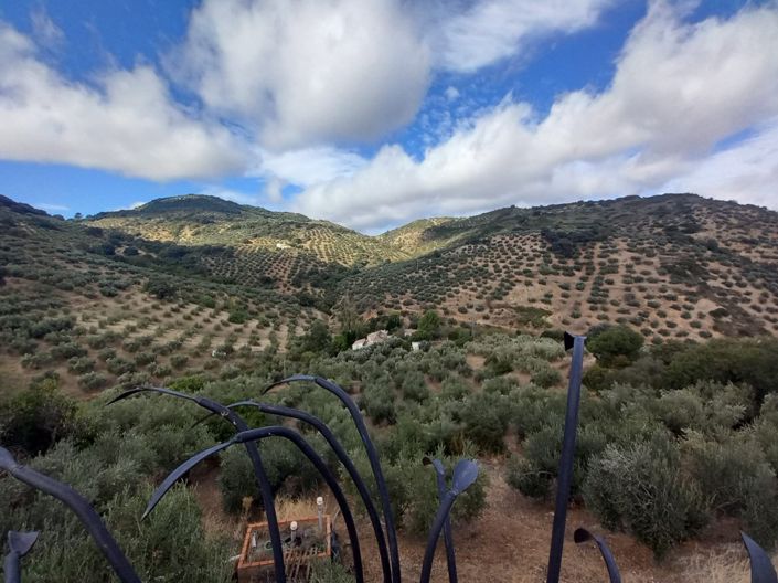 Image No.36-5 Bed Cortijo for sale