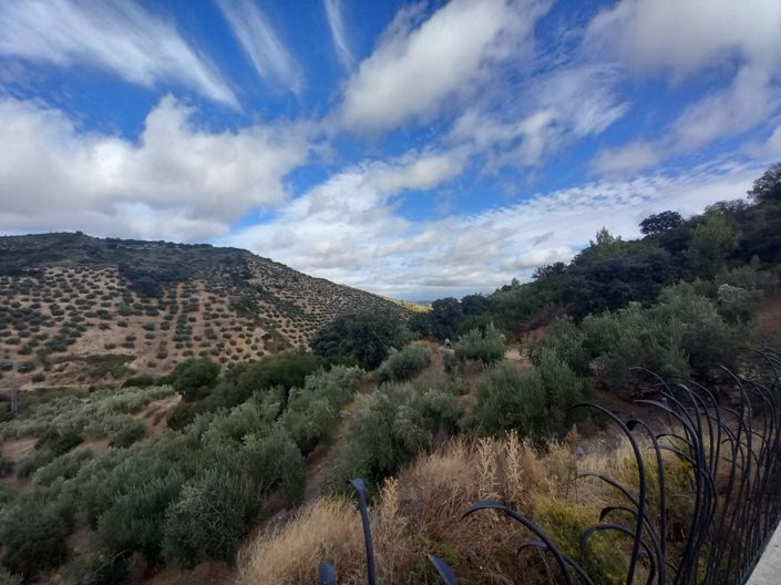 Image No.40-5 Bed Cortijo for sale