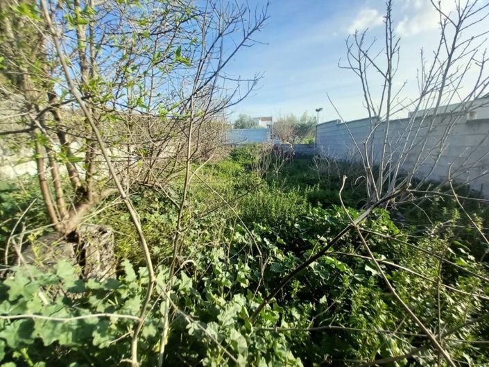 Image No.24-Bungalow de 3 chambres à vendre à Monte Lope-Alvarez