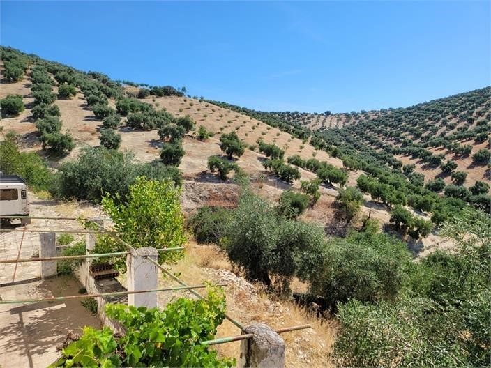 Image No.20-Cortijo de 5 chambres à vendre à Iznájar