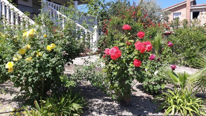 Image No.12-Villa de 5 chambres à vendre à Rute