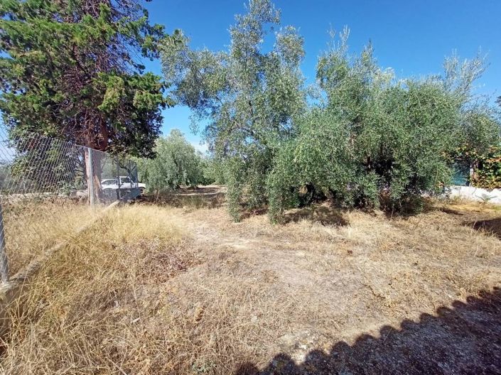 Image No.14-Cortijo de 2 chambres à vendre à Cabra