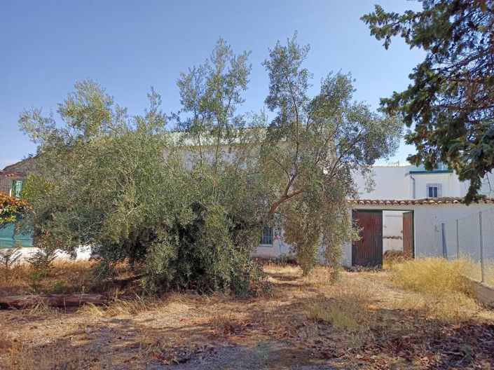 Image No.17-Cortijo de 2 chambres à vendre à Cabra