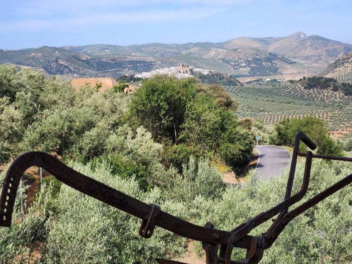 Image No.12-Maison de campagne de 2 chambres à vendre à Iznájar