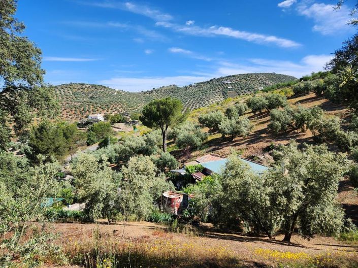 Image No.17-Maison de campagne de 2 chambres à vendre à Iznájar