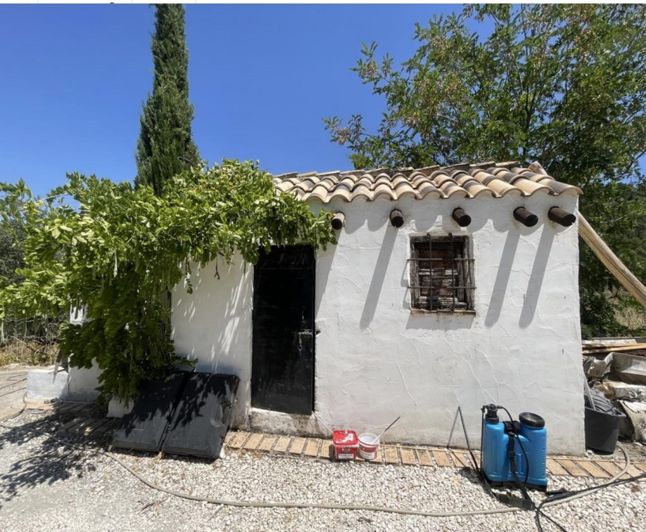 Image No.17-3 Bed Cortijo for sale