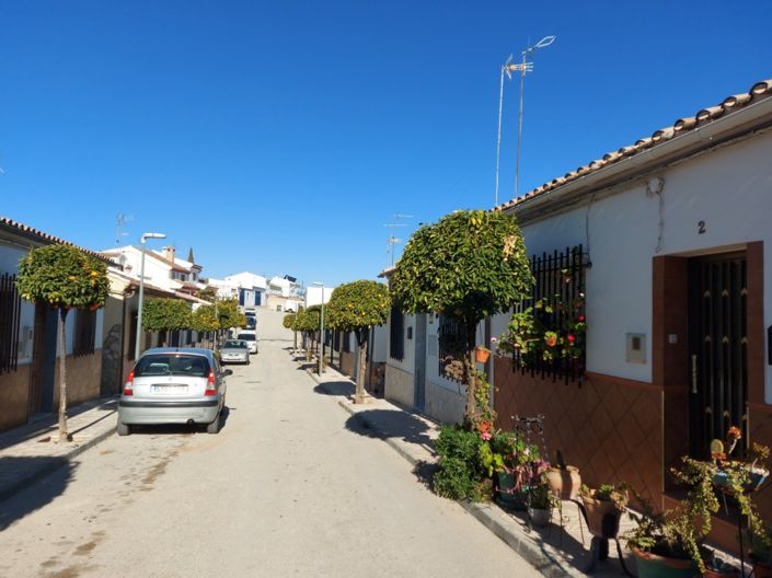 Image No.43-Bungalow de 3 chambres à vendre à Monte Lope-Alvarez