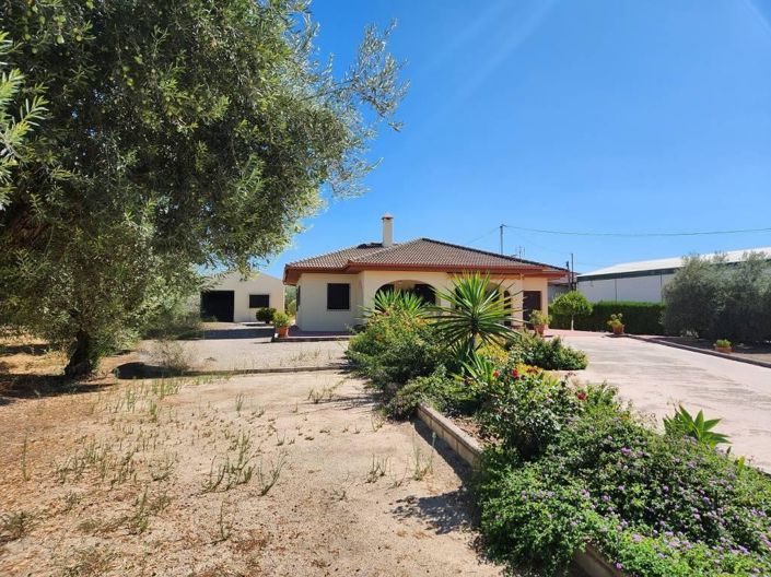 Image No.18-Chalet de 3 chambres à vendre à La Guijarrosa